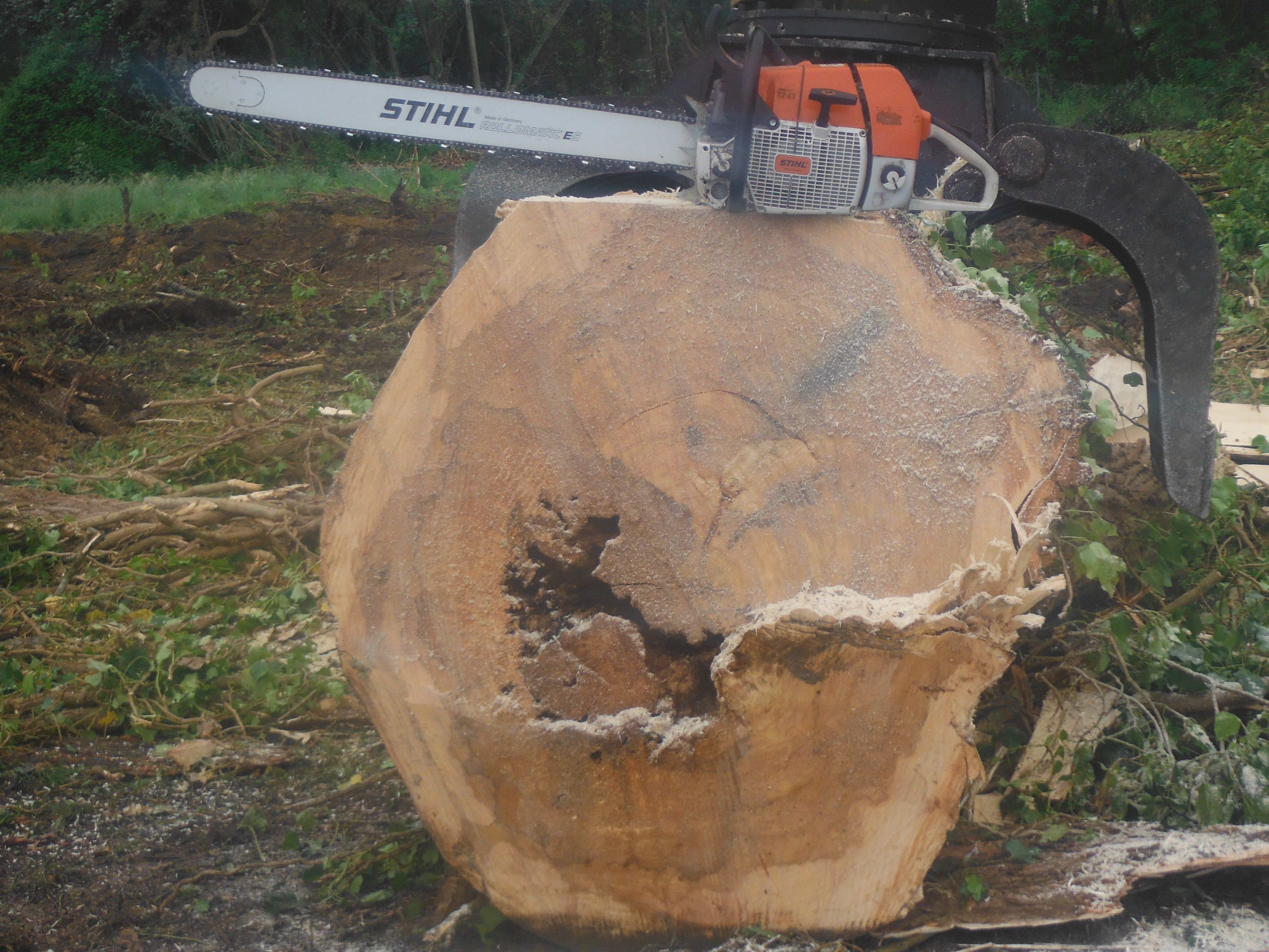 DSCF3186.JPG