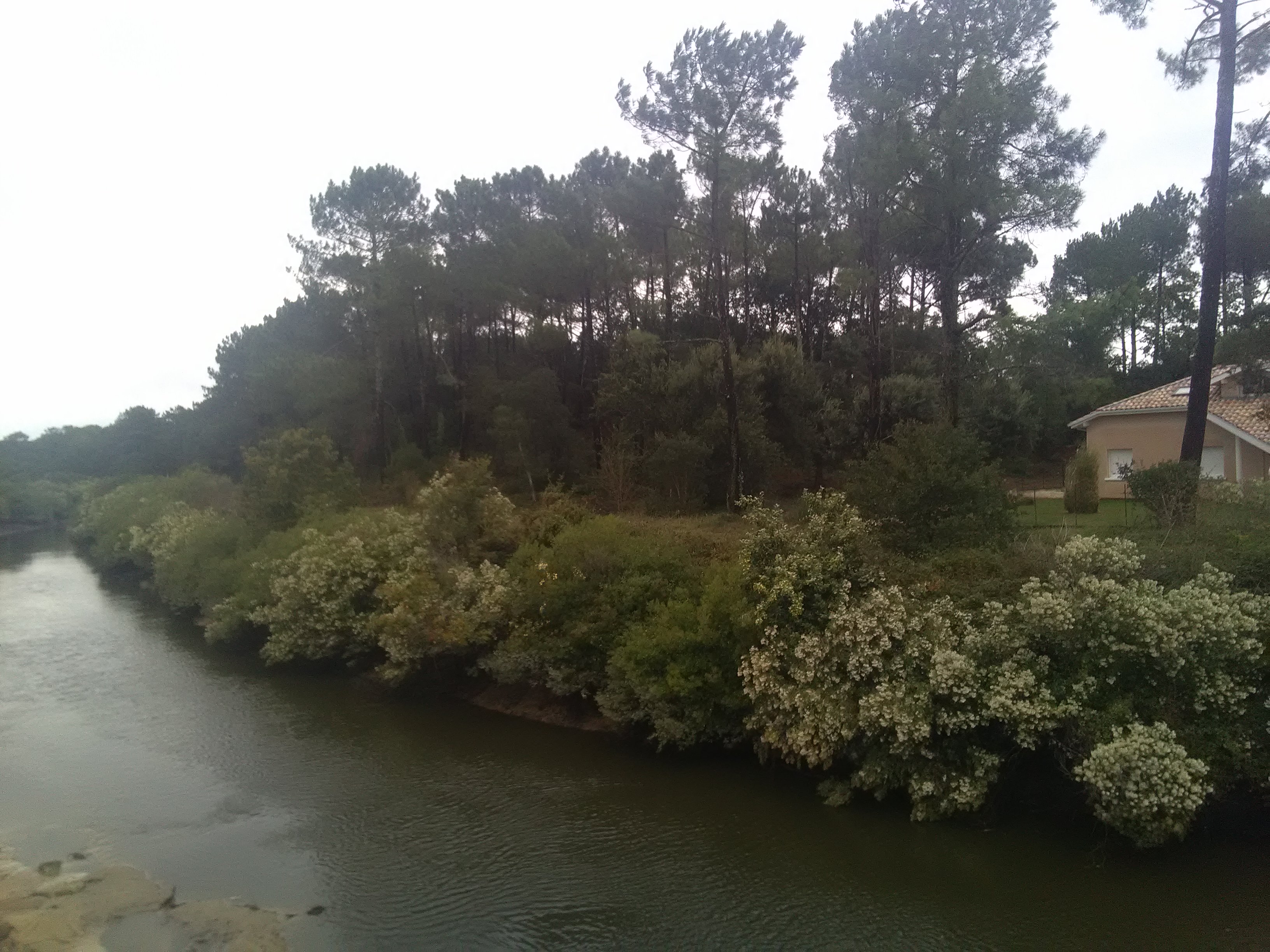IMG_20201002_110059.jpg