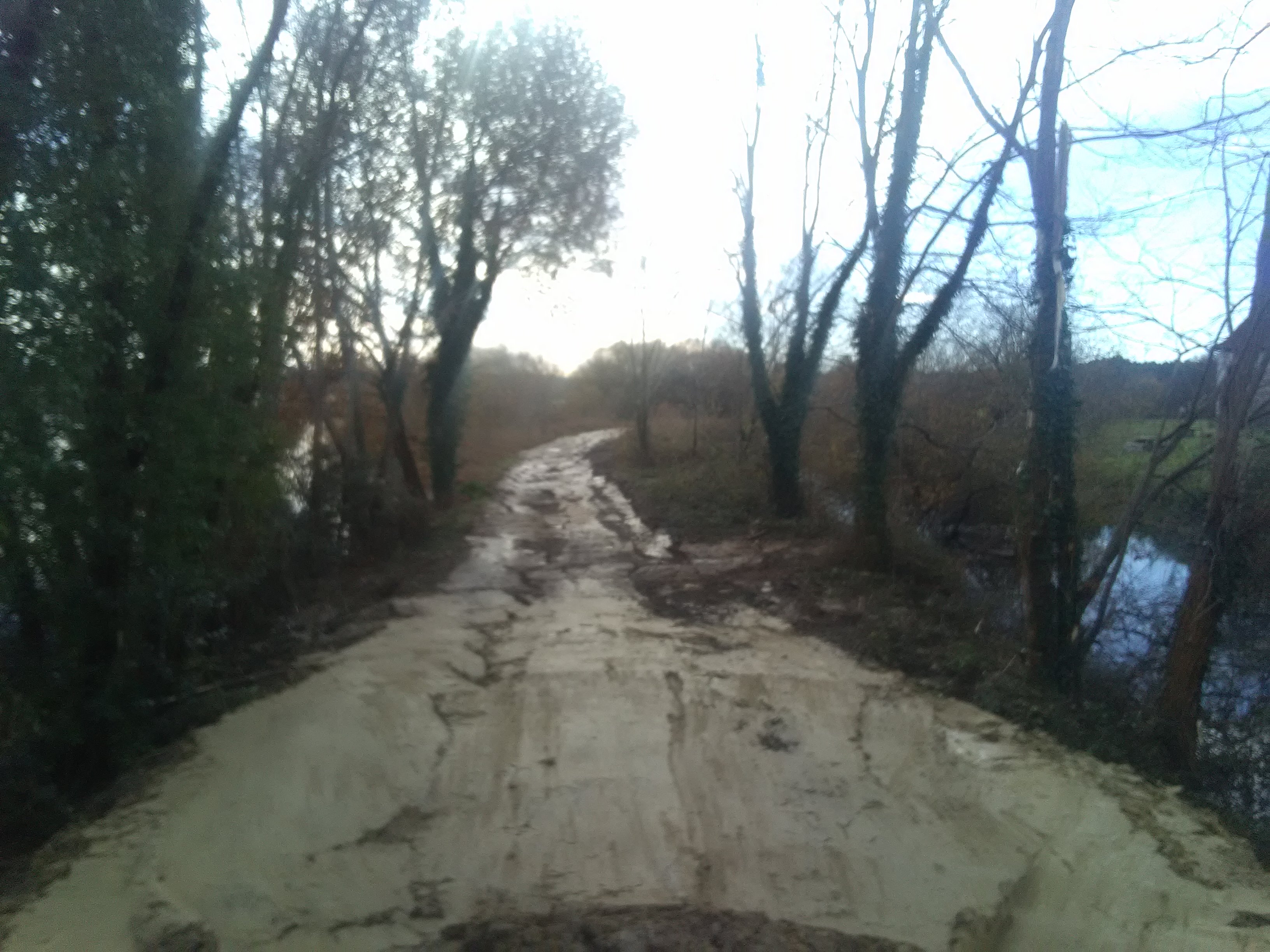 IMG_20201215_115950.jpg