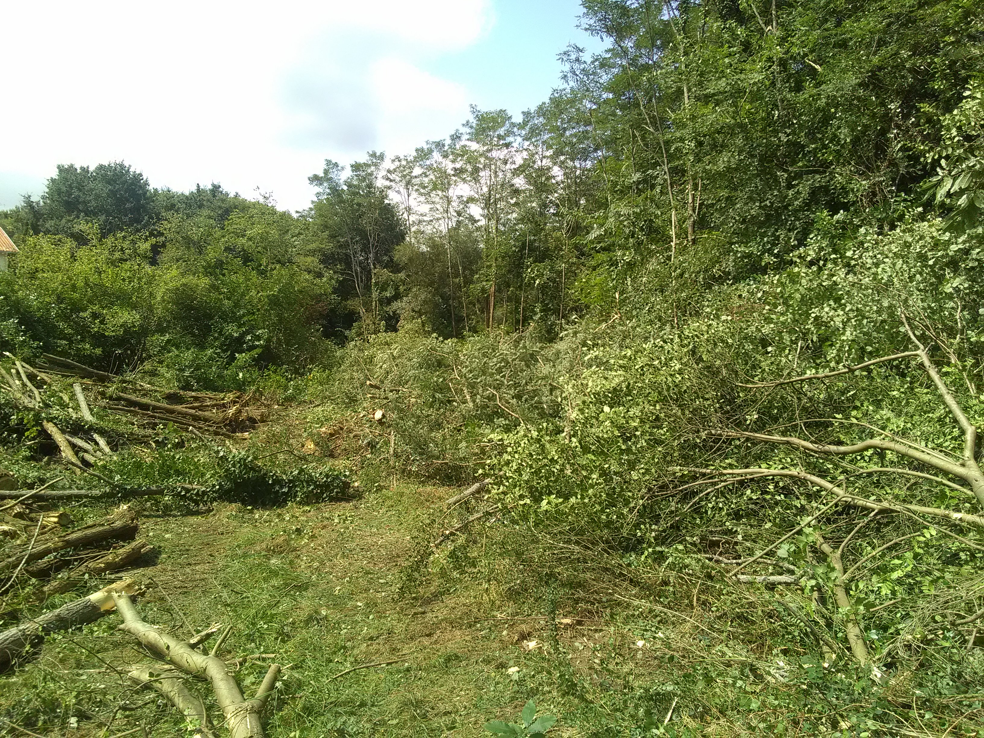 IMG_20210810_125558.jpg