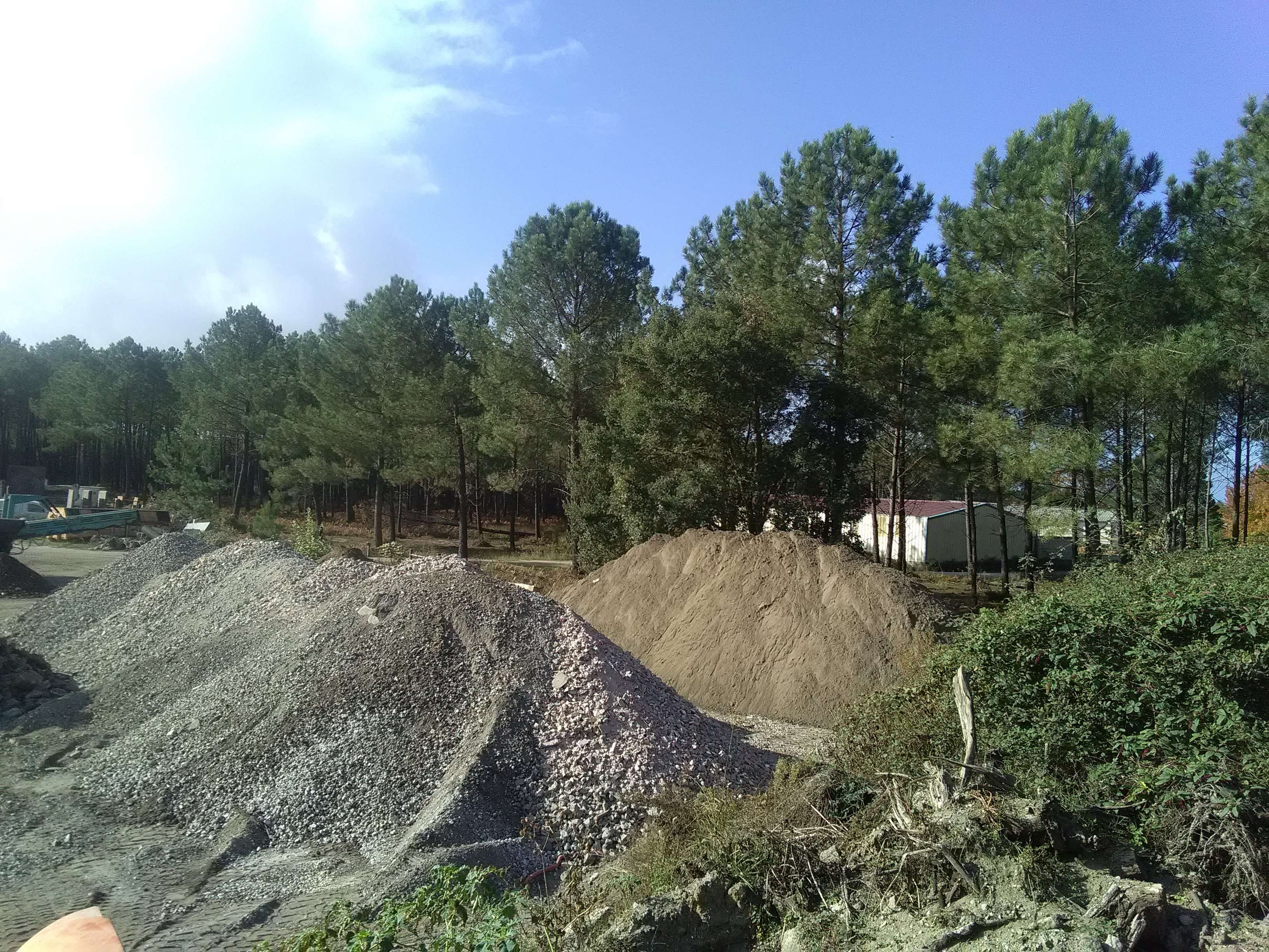 IMG_20211021_113732.jpg