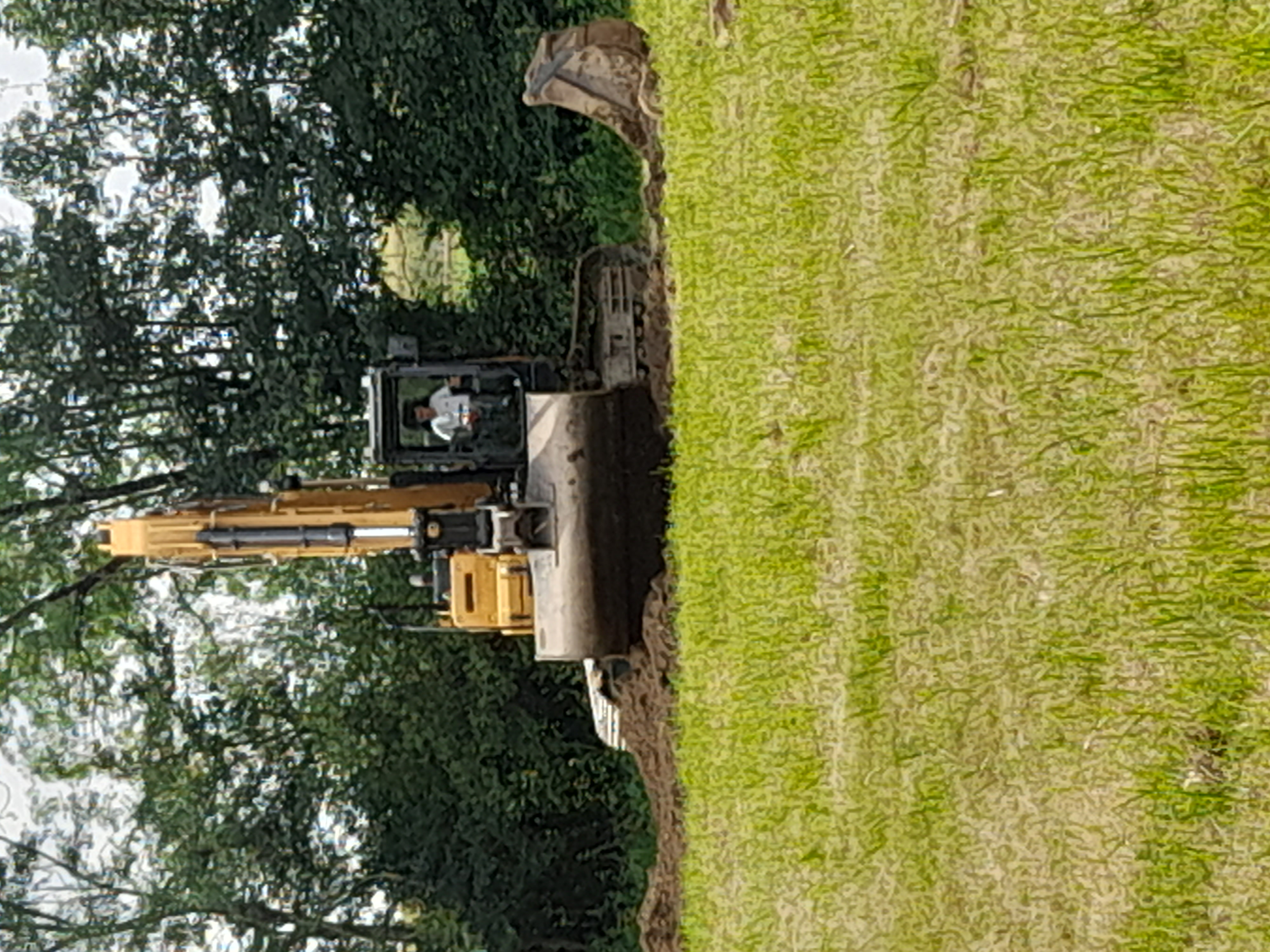 20240608_165107.jpg